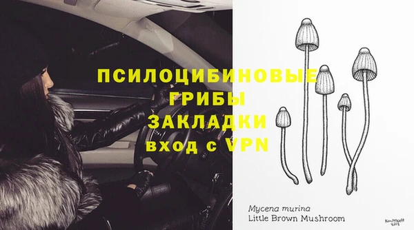 кокаин колумбия Богданович