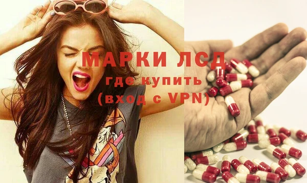 спиды Богородицк