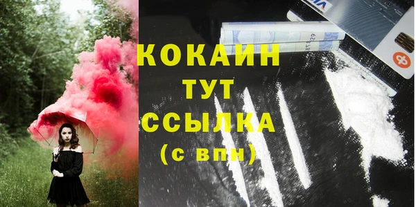 спиды Богородицк