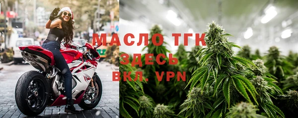 спиды Богородицк