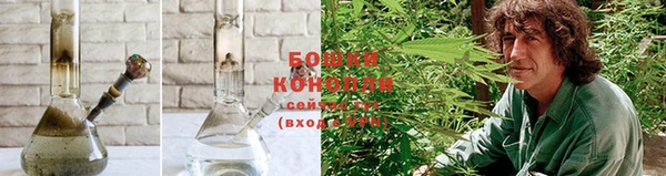 кокаин колумбия Богданович