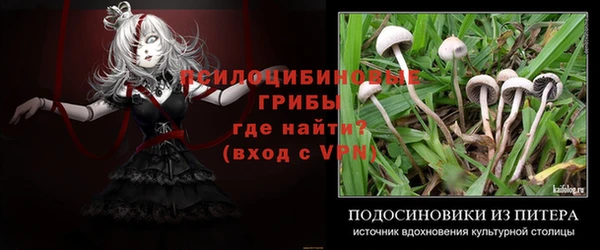 спиды Богородицк