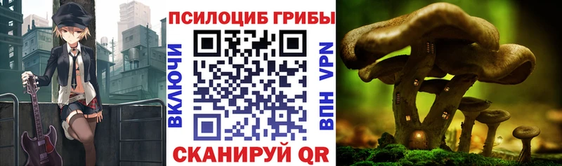 Галлюциногенные грибы MAGIC MUSHROOMS  Севастополь 